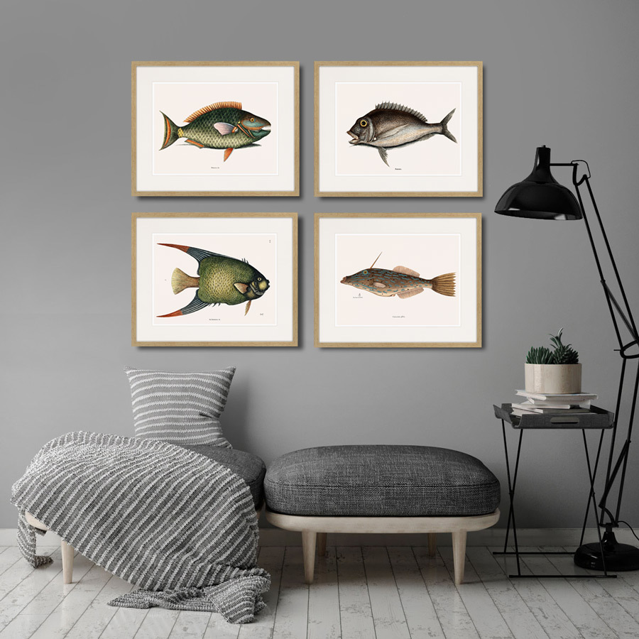 Картина: Marine life №7, 1725г. КАРТИНЫ В КВАРТИРУ  264308 Разноцветный  - Вид №2