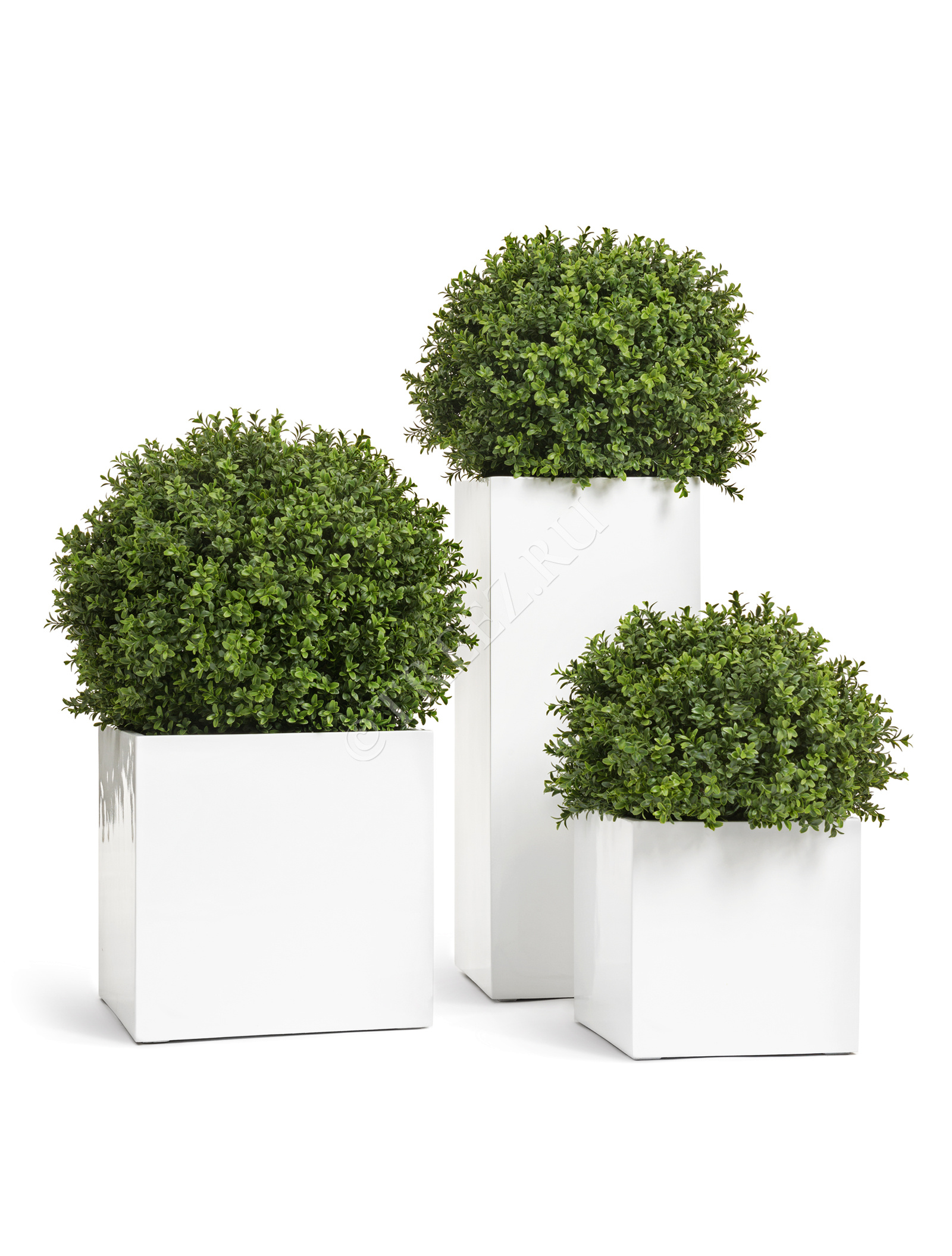 41.3320-05-033-WH-30 Кашпо  Effectory - серия Gloss - Куб - Белый глянцевый лак Цветочная коллекция  - Вид №3