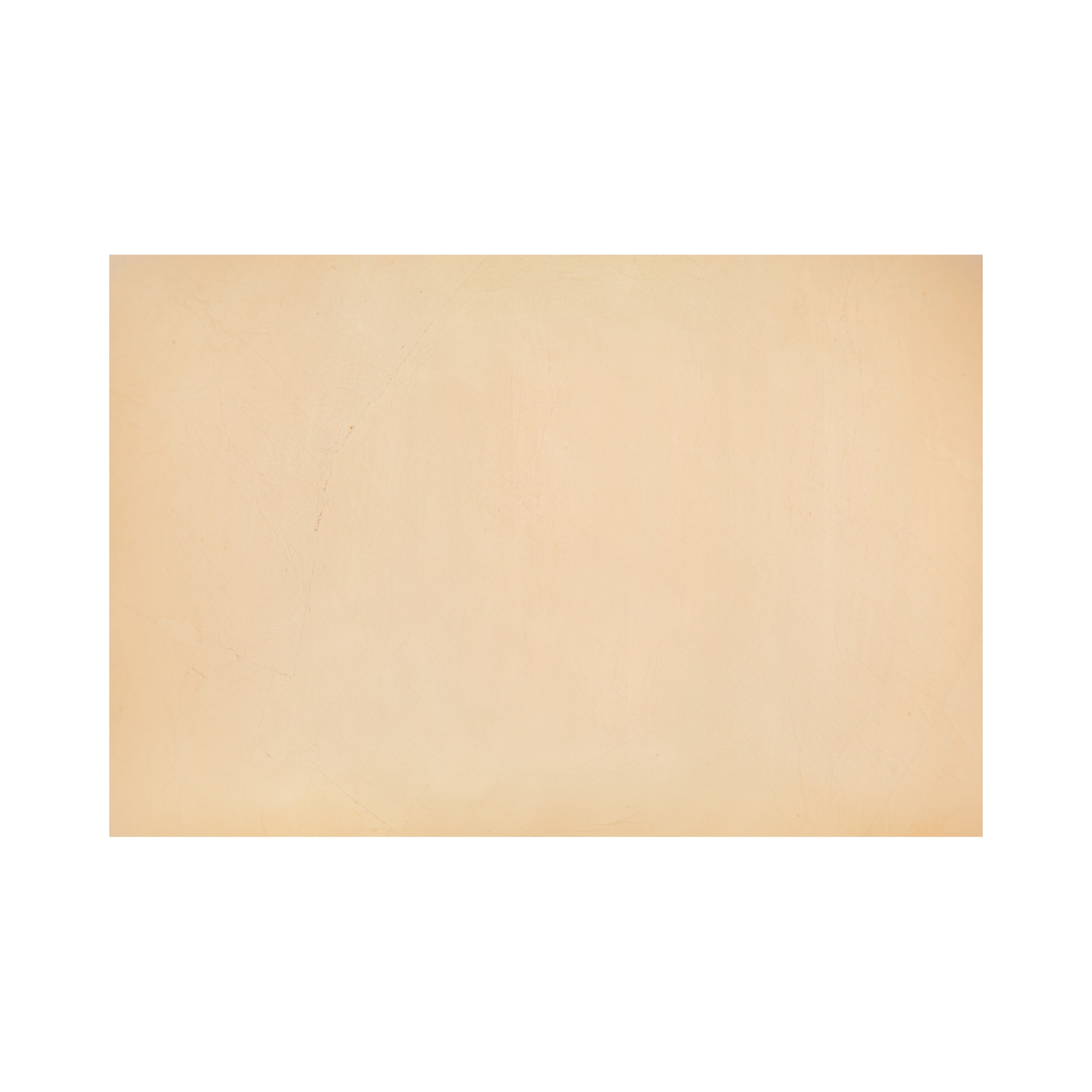 Арт-объект / Indoor Plated Extra Bullstein sun-id-373069 - Вид №3