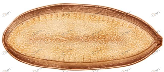 Vista Alegre Сервировочное блюдо из терракоты Amazónia 65026303 Amazonia