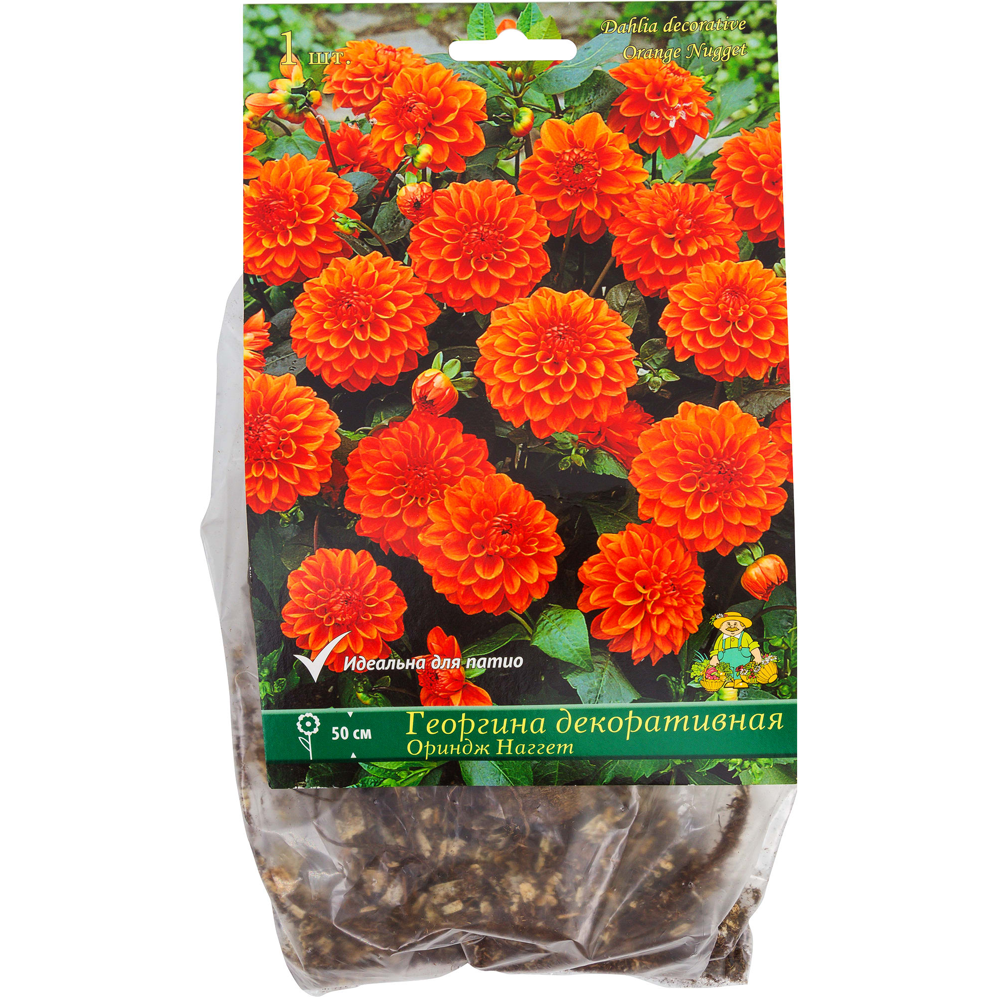 82118675 Георгины декоративные «Ориндж Наггет», 1 шт Santreyd 