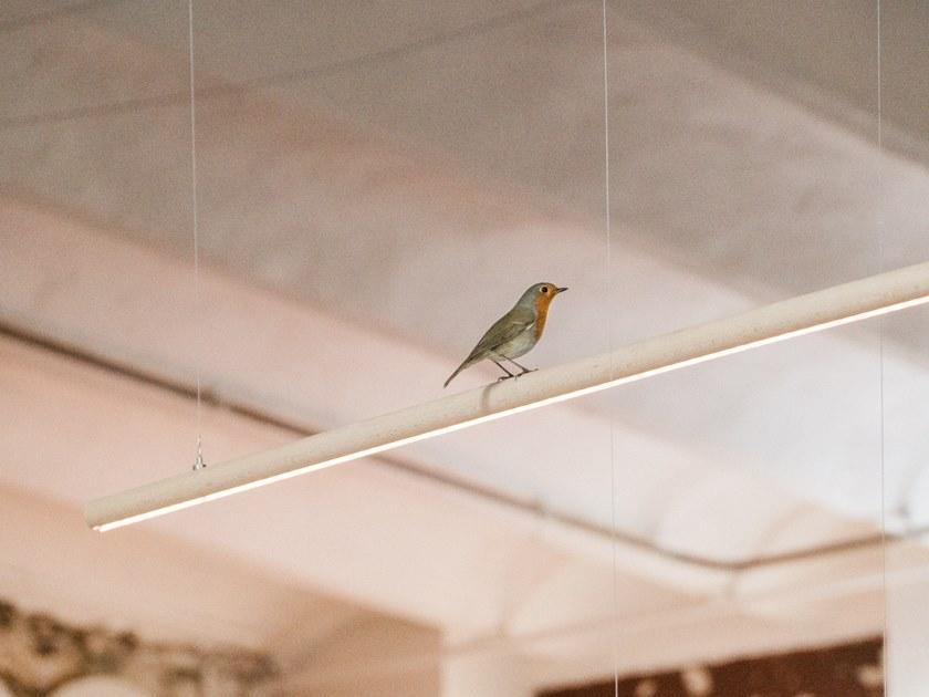 smarin Светодиодный подвесной светильник из дуба sun-id-1408260 - Вид №1