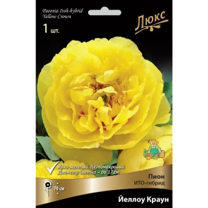 Пион ито-гибрид «Йеллоу Краун» разбор 2-3 82661867 STLM-2054504