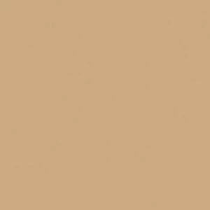 Керамогранит Rainbow RW 15 60x60 Полированный