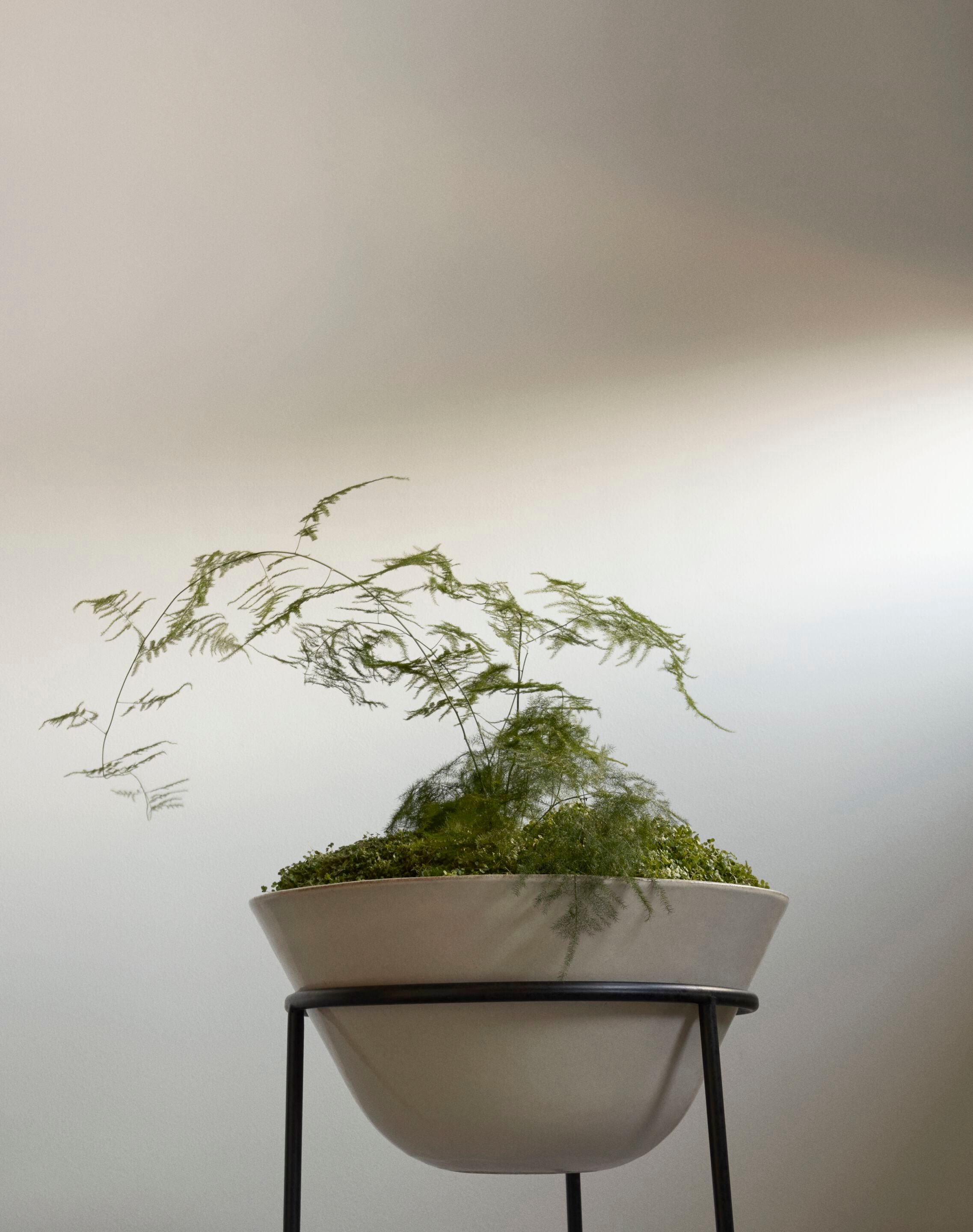 Керамический плантатор Audo Copenhagen DAIZA ARCH-00153087 - Вид №10