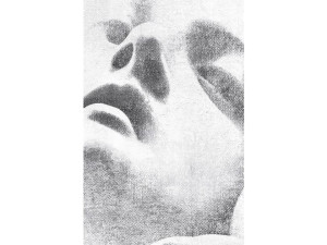 Декоративная панель из алюминия, стекла или ПММА