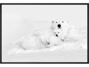 Печать фотографий на бумаге