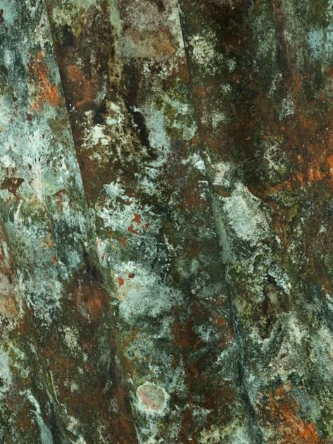 LELIEVRE Обивочная ткань из хлопка Jean paul gaultier - nature et découverte 3465 - Вид №1