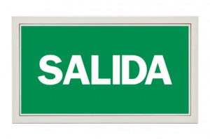 DST-585 Lisu flush-mounted Daisalux Светильники аварийные Белый