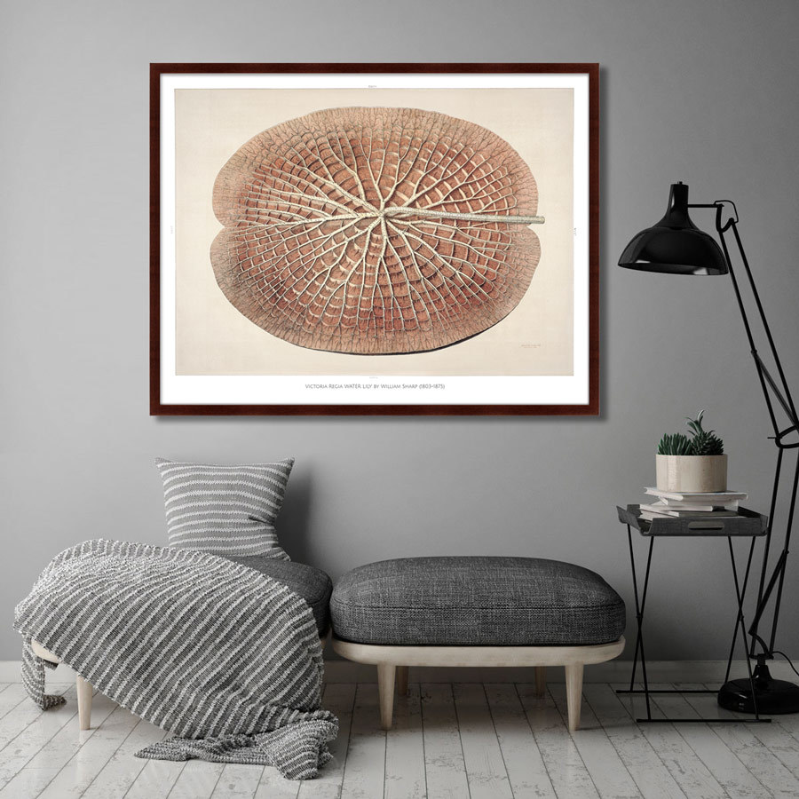 Картина: Leaf of a gigantic water lily, 1870г. КАРТИНЫ В КВАРТИРУ  264212 Разноцветный  - Вид №3