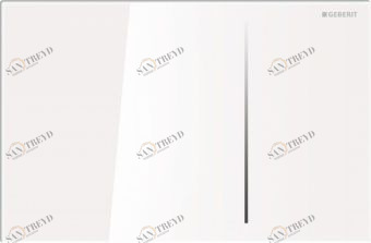 115.620.SI.1 смывн.клавиша SIGMA70 (бел.стекло) Santreyd 