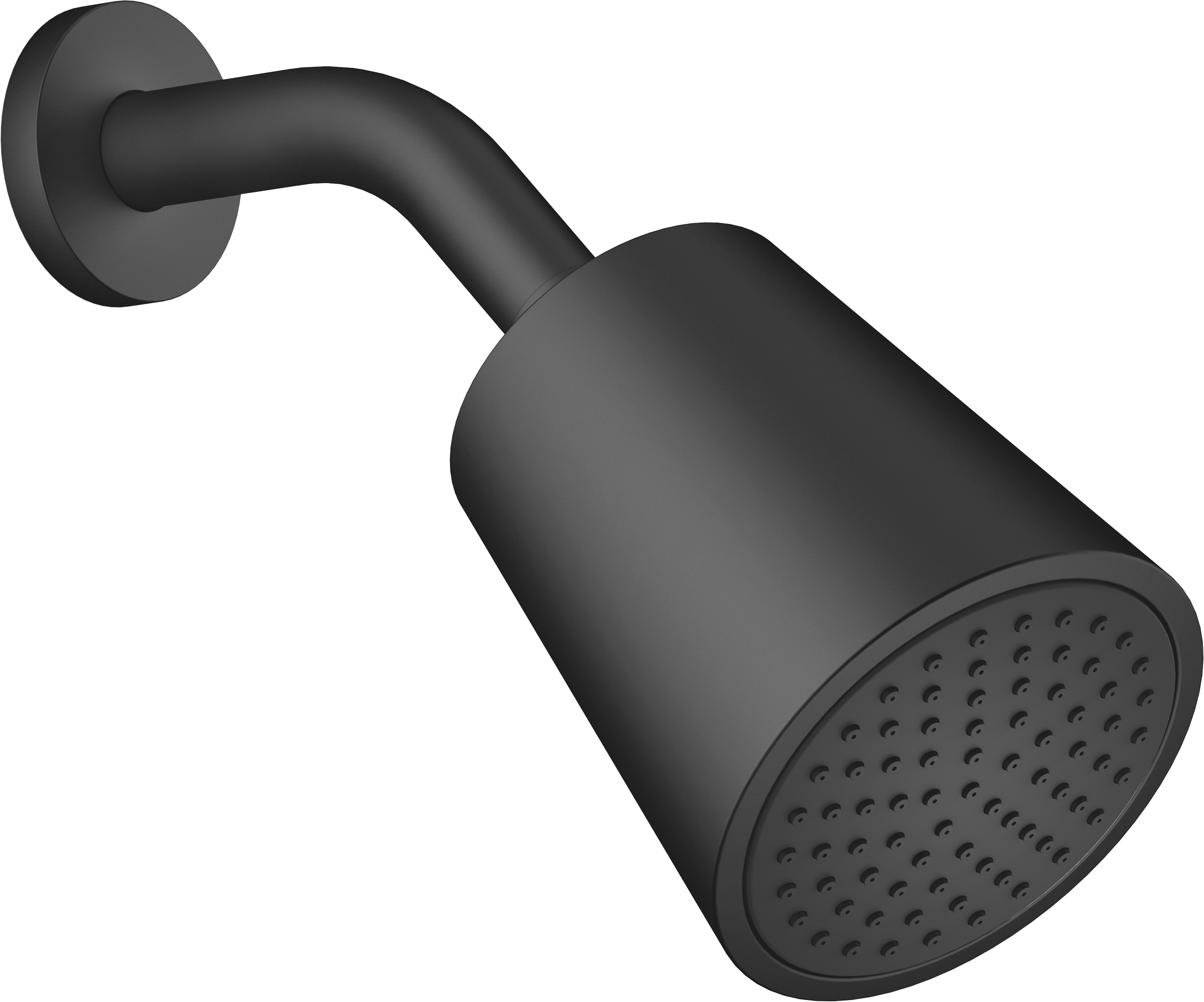Душевая лейка - матовый черный