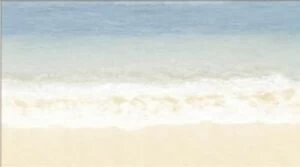 Decor Tropic 4 25x45