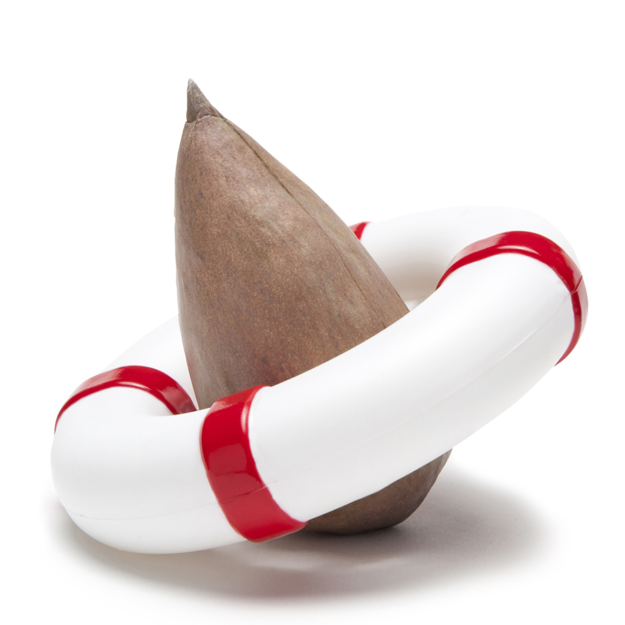 PE565 Проращиватель для авокадо seed guard Peleg Design 