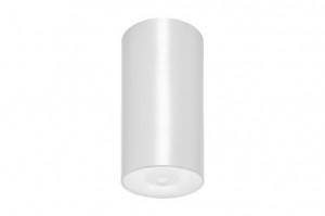 DST-3197 Lens watertight ceiling-mounted Daisalux Светильники и спец. Белый