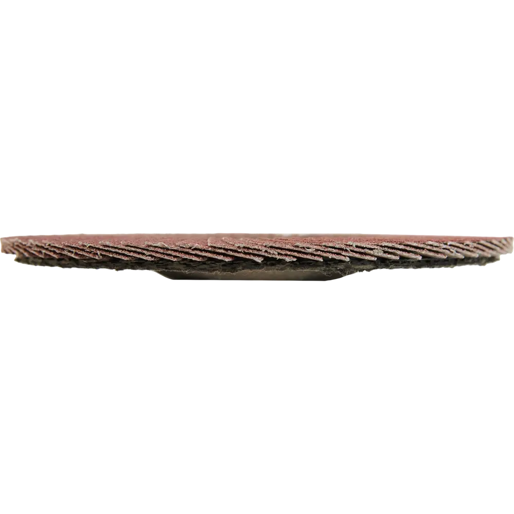 Santreyd Лепестковый шлифовальный круг для точной обработки металла и дерева 85564577 STLM-1337810 - Вид №1