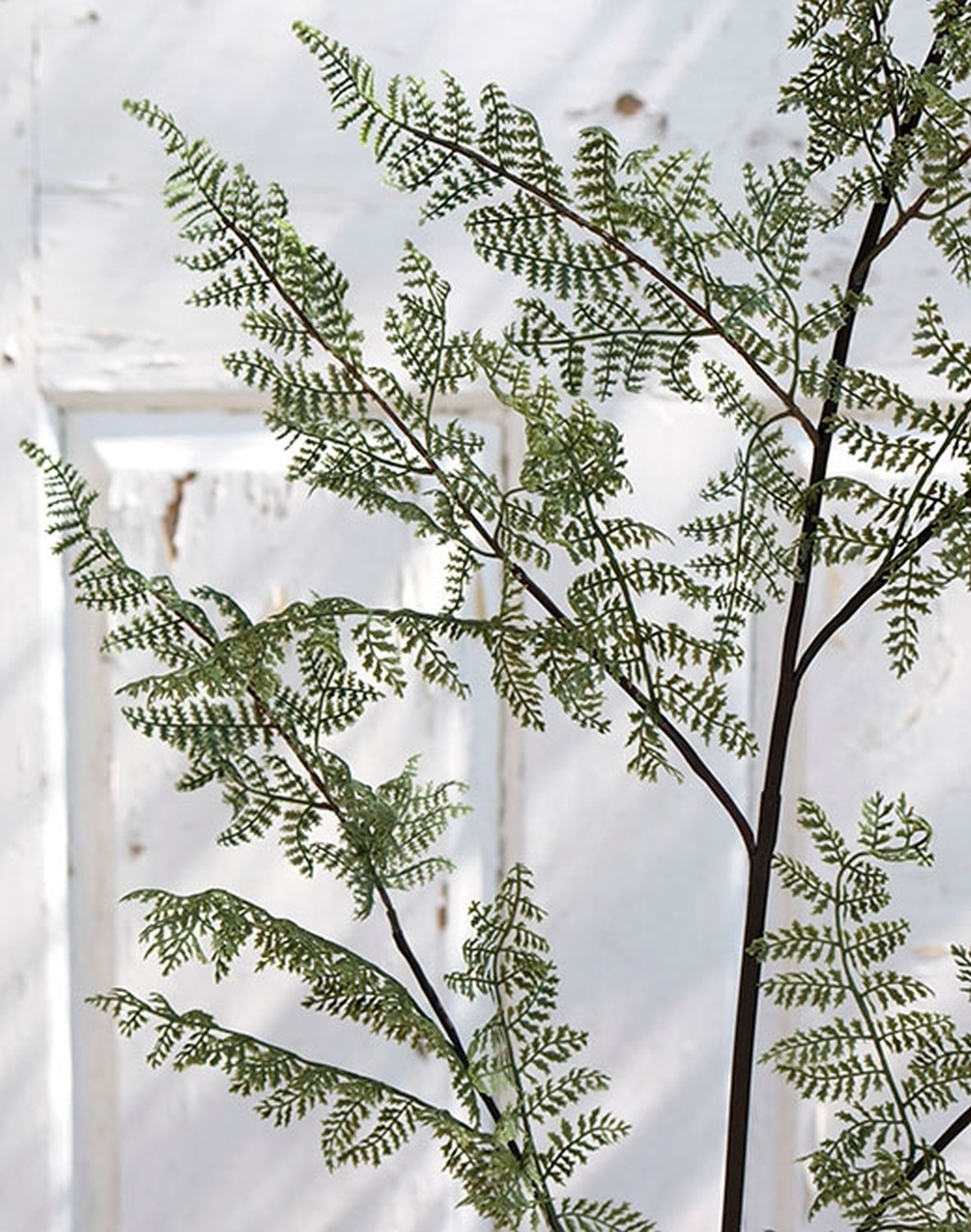 6627 883 a2 Спрей шелк папоротник, синтетический материал, 150 см, зеленый H-andreas 