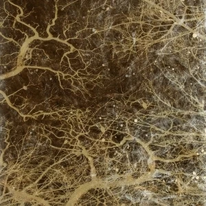 Арт-панель на холсте Alex Turco Organic Light Limbs