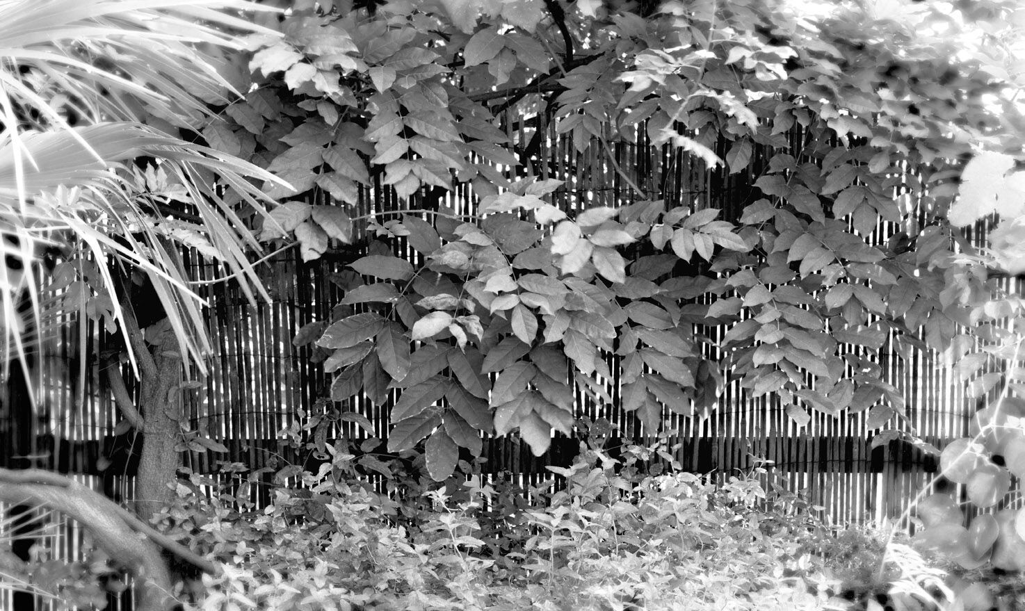 Обои с цветочными мотивами Jannelli&Volpi GRISIOLE ARCH-00098502 - Вид №2