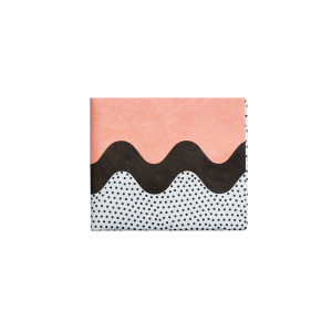 NW-117 Бумажник - new pocketmonster New wallet