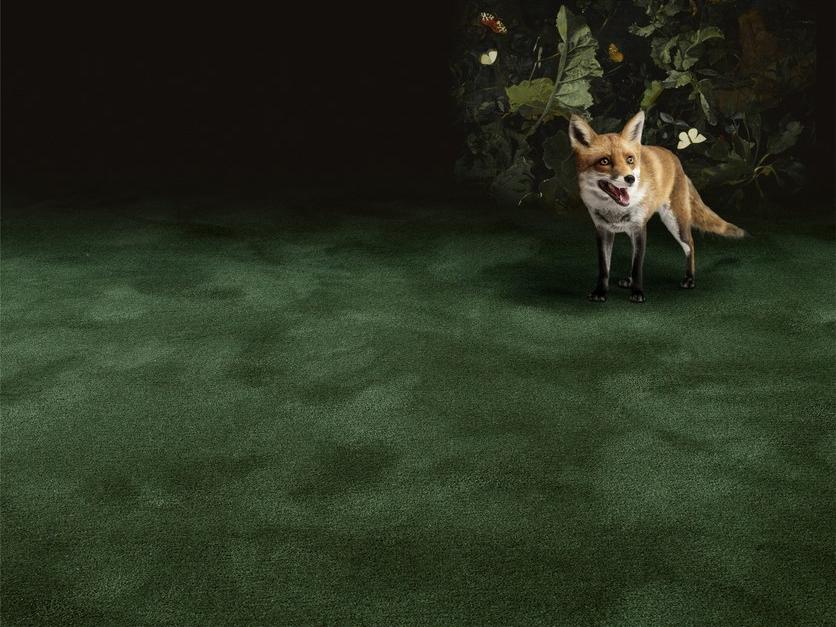 OBJECT CARPET Обычный шерстяной ковер Manufaktur sun-id-1440159 - Вид №4