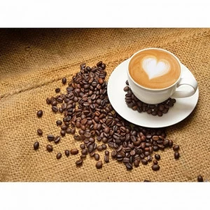 A2-062 Фотообои DIVINO Collection A 1.47х2 м