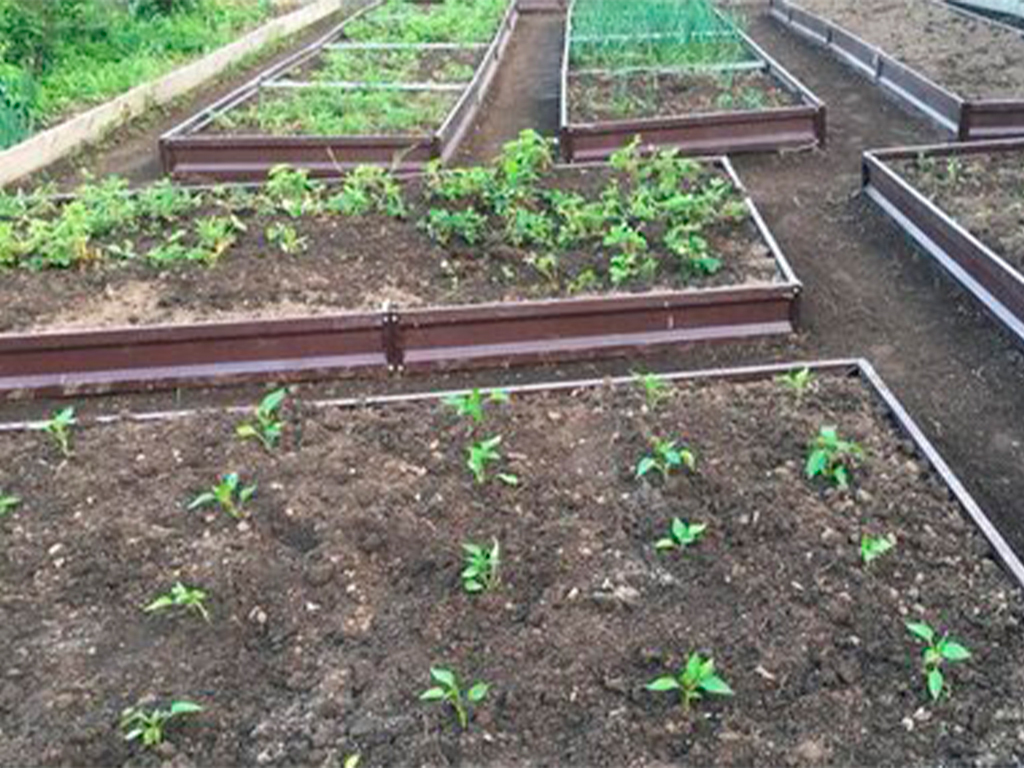 Грядка 0,8*3м, высота 20 см, цвет шоколадно-коричневый ГеоПластБорд GPBST-129 - Вид №1