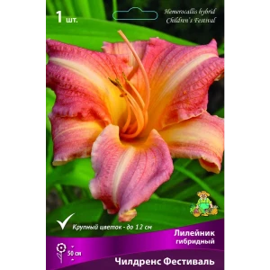 Лилейник гибридный Чилдренс фестиваль луковица I 88295014 STLM-2044362