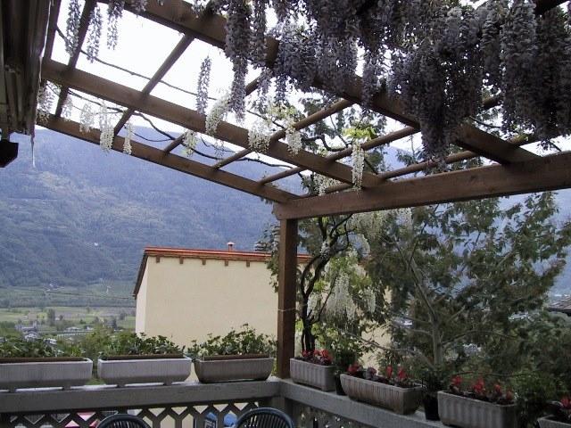 INDUSTRIA LEGNAMI TIRANO Деревянный навес / пергола Ilt montana legno sun-id-1396246 - Вид №4