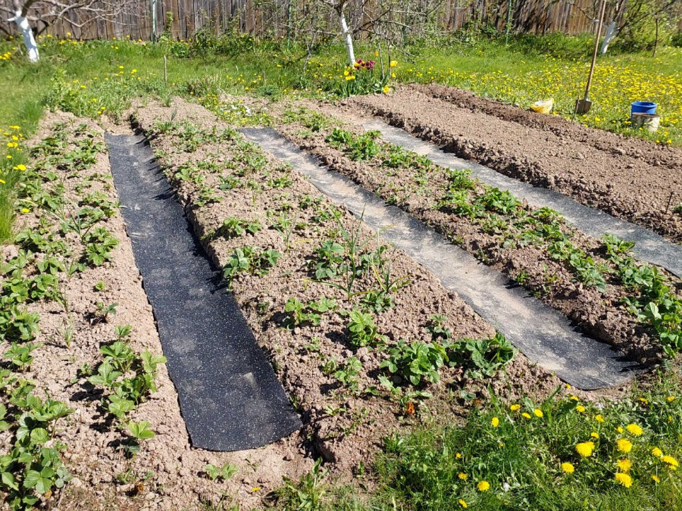 100.3.3AG.Bc Садовая дорожка резиновая Alegria garden  - Вид №5