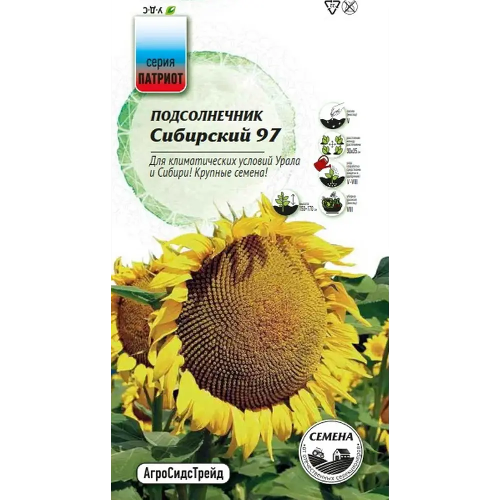 Семена овощей Агросидстрейд Патриот подсолнечник Сибирский 97 STLM-2040052