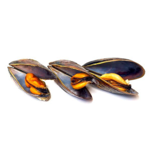 Мидии в створках в собственном соку Agama 450 г