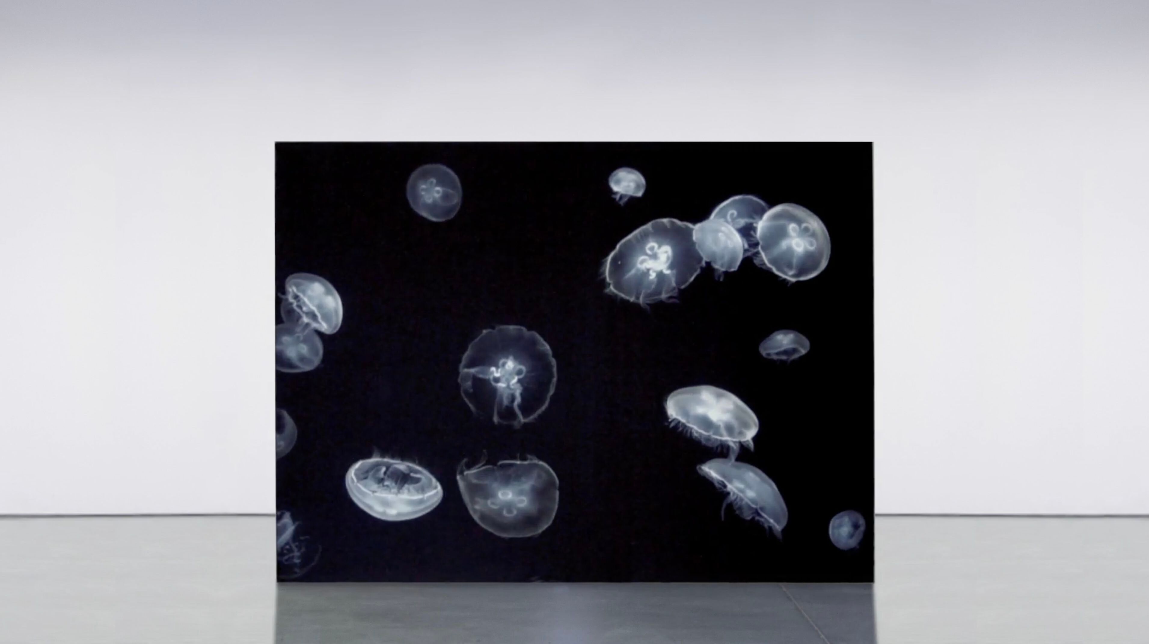 Печатная ткань с подсветкой стены с алюминиевой рамой ABS Group LIGHTBOX DINAMICO ARCH-00038283 - Вид №3