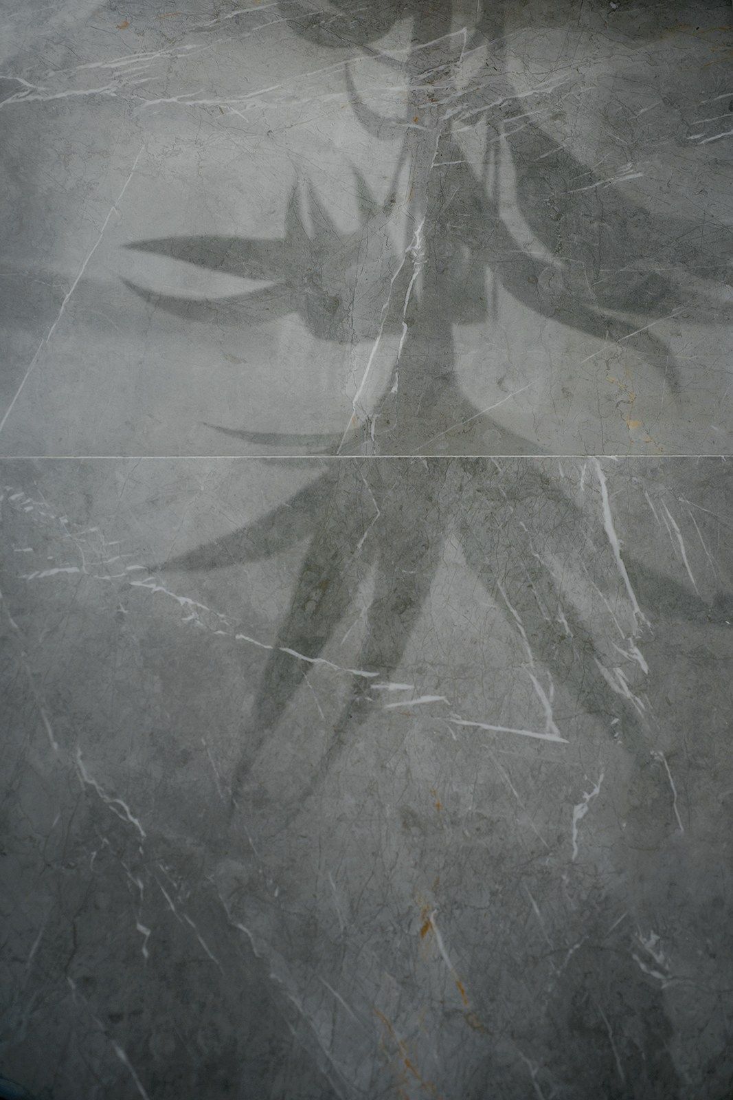 Пол из керамогранита с мраморным эффектом MARAZZI EVOLUTIONMARBLE ARCH-00075022 - Вид №35