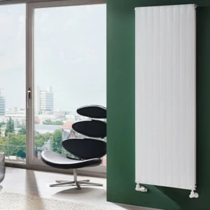 Bemm Вертикальные панельные отопительные стены Классический;стандартный (для общественных зданий) Обмен Пава V