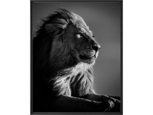 Печать фотографий на бумаге