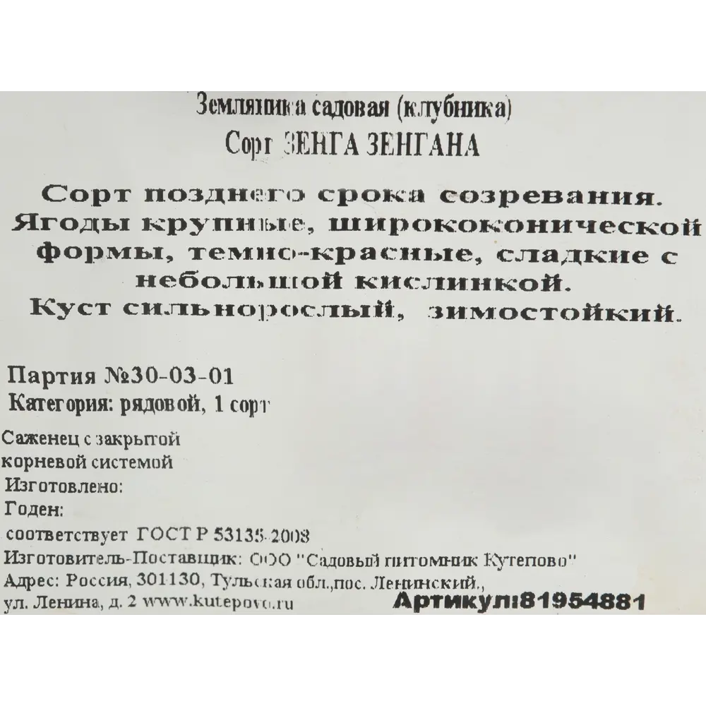 Земляника садовая «Зенга Зенгана» (клубника) 81954881 STLM-2100856 Santreyd  - Вид №2