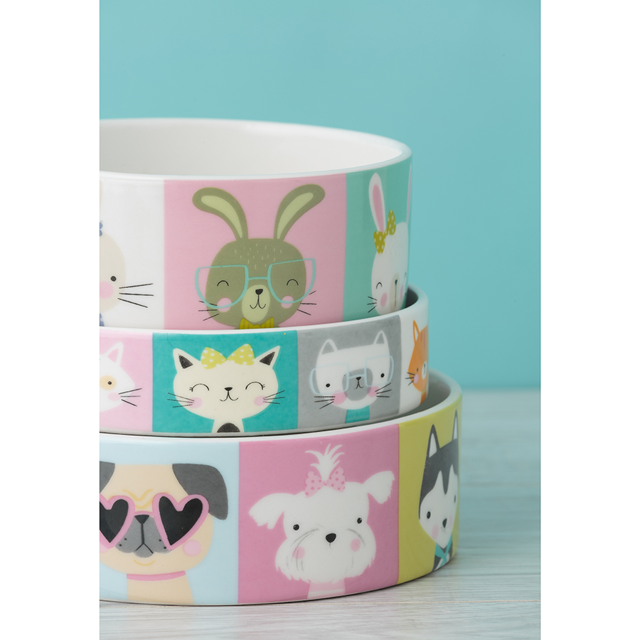 2030.474 Миска для кошек pawtrait, D13 см, 250 мл Mason Cash  - Вид №5