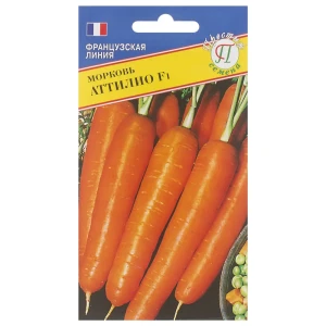 Семена Морковь «Аттилио» 81931674 STLM-2027215
