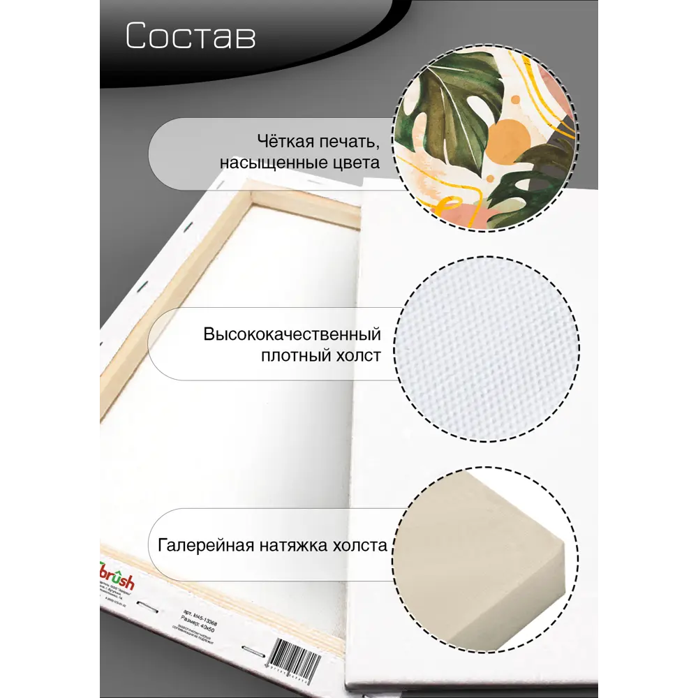 Картина на холсте Ботаника Бохо 2 40x50 см 85394544 STLM-2096168 FBRUSH  - Вид №9