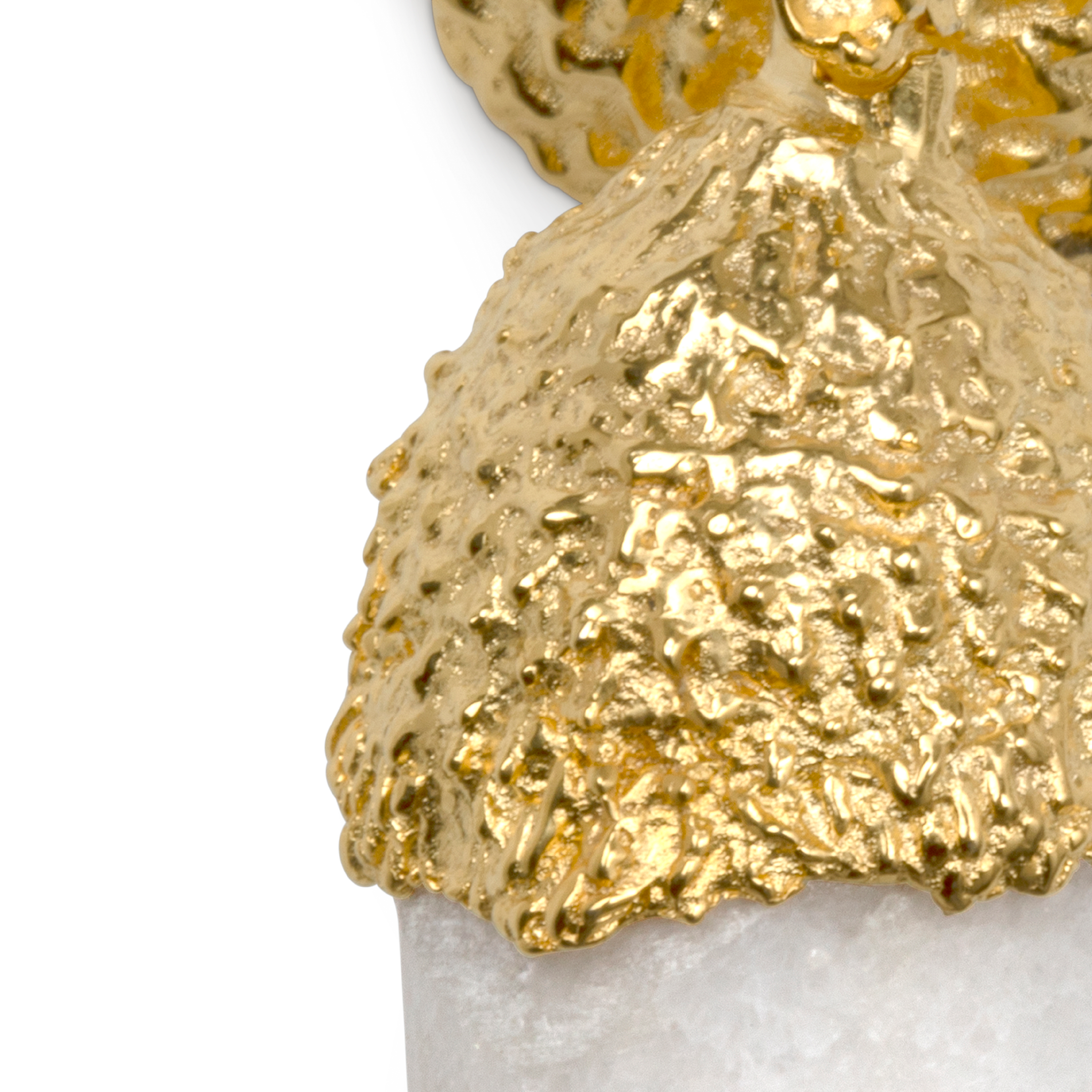 LE4005 Acorn PULLCAST Limited Edition - Вид №3