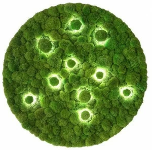 Freund GmbH Настенный светильник из мха / потолочный светильник