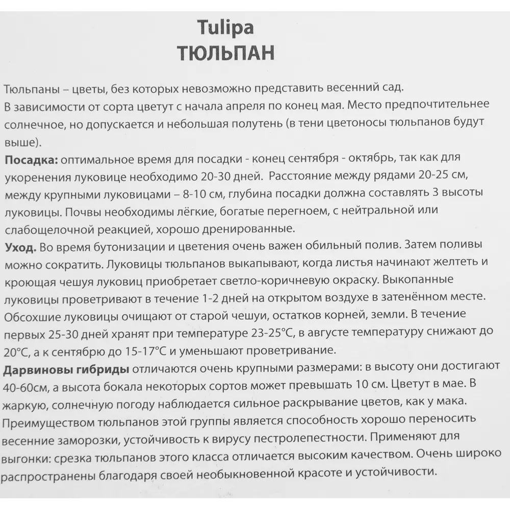 Тюльпан Дарвинов гибрид Гиб Рашн Принцесс, 5 шт 85205603 STLM-2154524 ПОИСК  - Вид №2