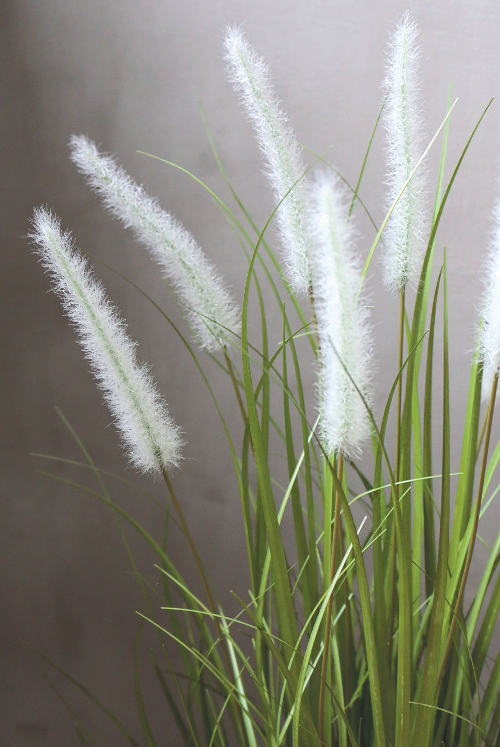 4870 807 a3 Искусственный пучок травы 'Chinese fountain grass', в горшке, 76 см, зелено-белый H-andreas  - Вид №6