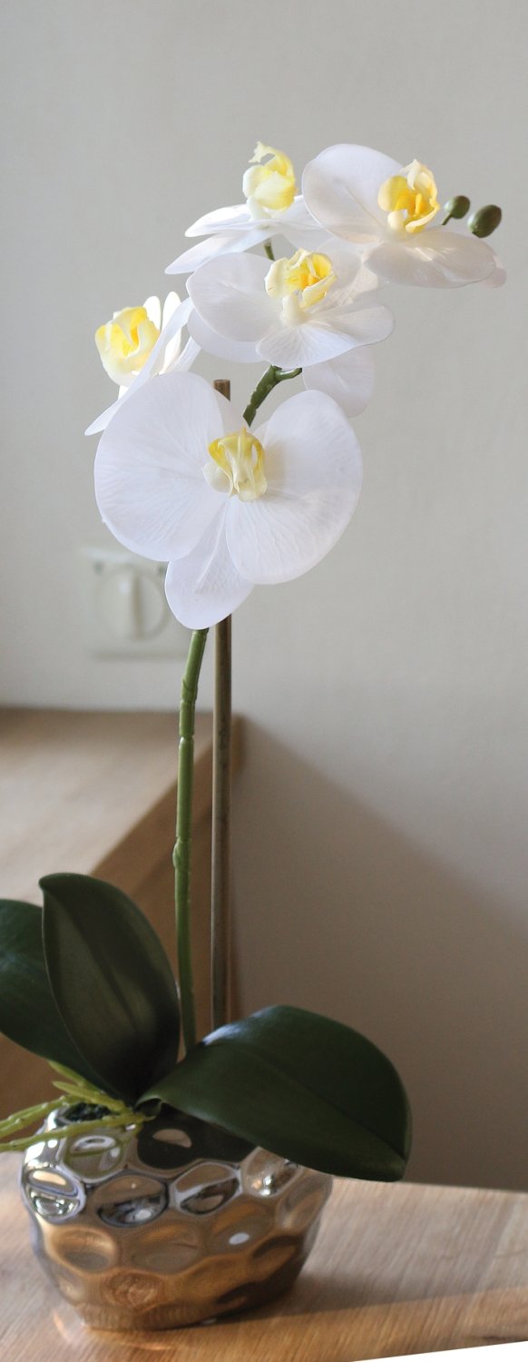 2596 778 a3 Пластиковая орхидея Phalaenopsis, горшечная, 43 см, real touch soft, бежево-белая H-andreas  - Вид №5
