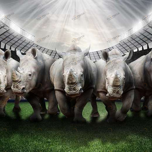 P-070 Фотообои DIVINO L&P 4х2.7 м P070