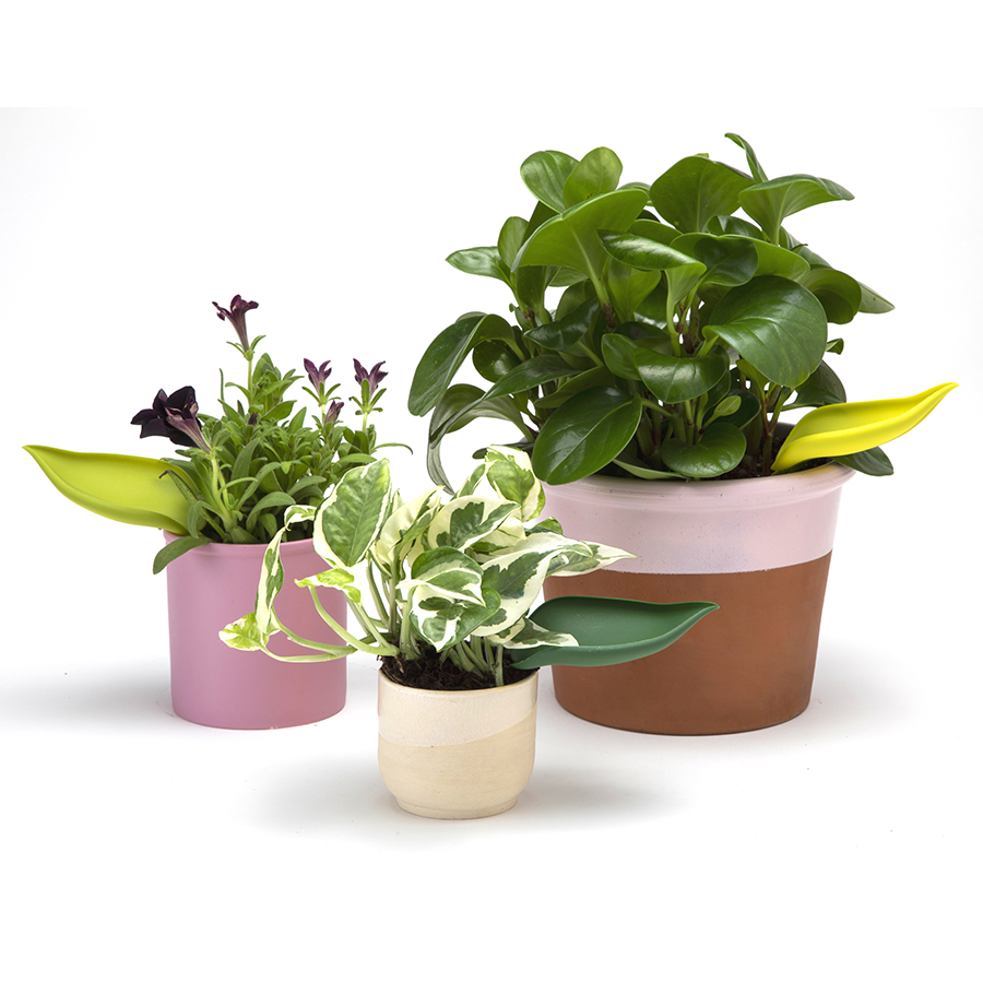 PE465 Воронка для полива растений peleg, leaflow Peleg Design  - Вид №5