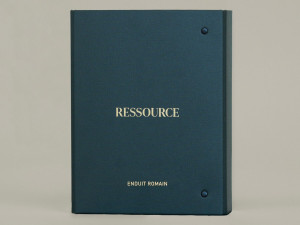 Декоративная живопись на основе Римской штукатурки