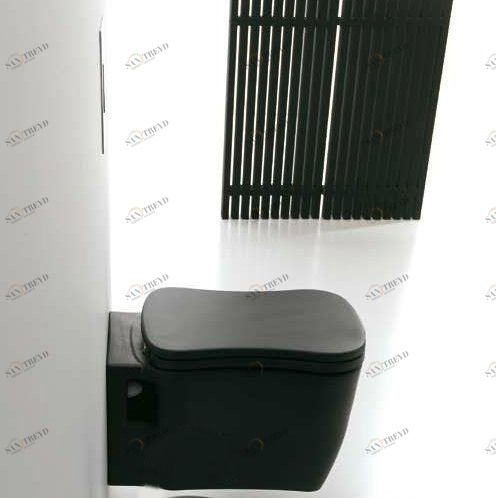 42812 Подвесной унитаз настенный Белый  Nutty Италия Santreyd