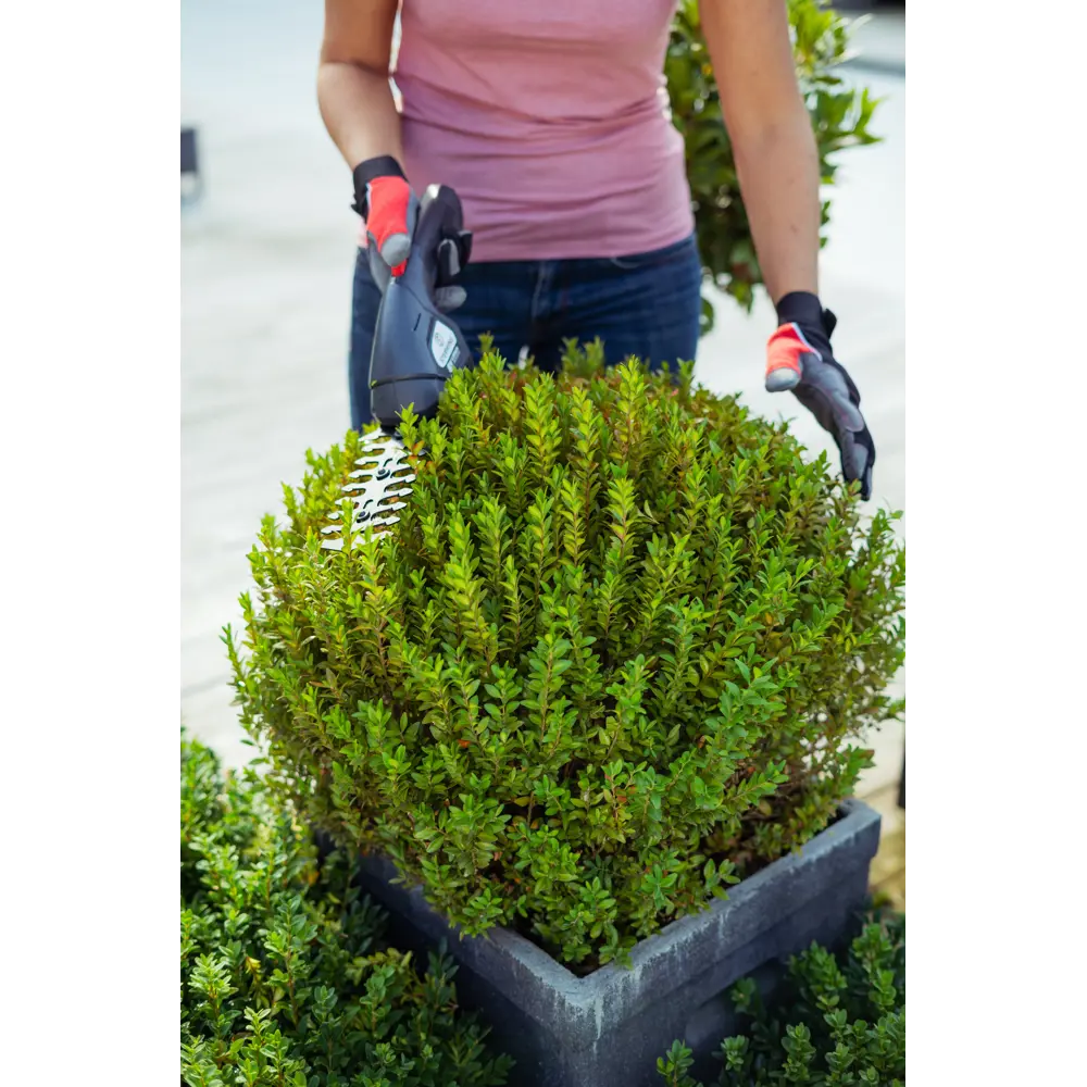 Ножницы аккумуляторные Sterwins  8 В 1x1.5 Ач АКБ и ЗУ входит в комплект STLM-2199559 - Вид №4